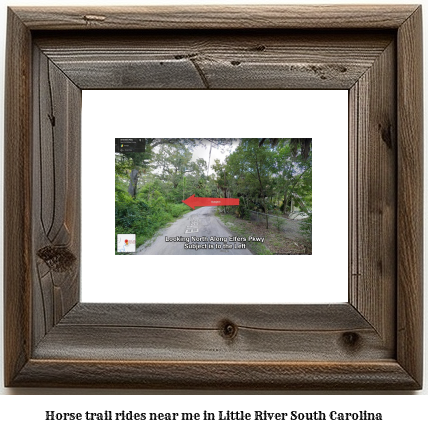 horse trail rides near me in Little River, South Carolina